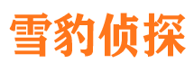 桃山找人公司